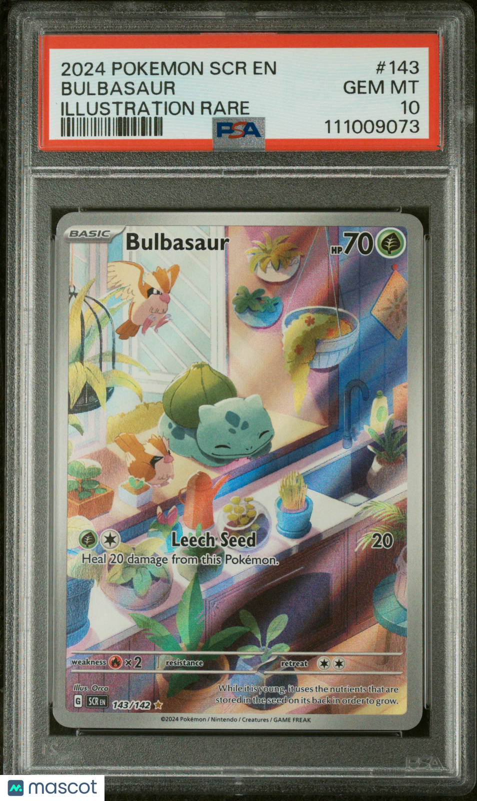 2024 Pokemon Stellar Crown Bulbasaur Illustration Rare PSA 10 #143