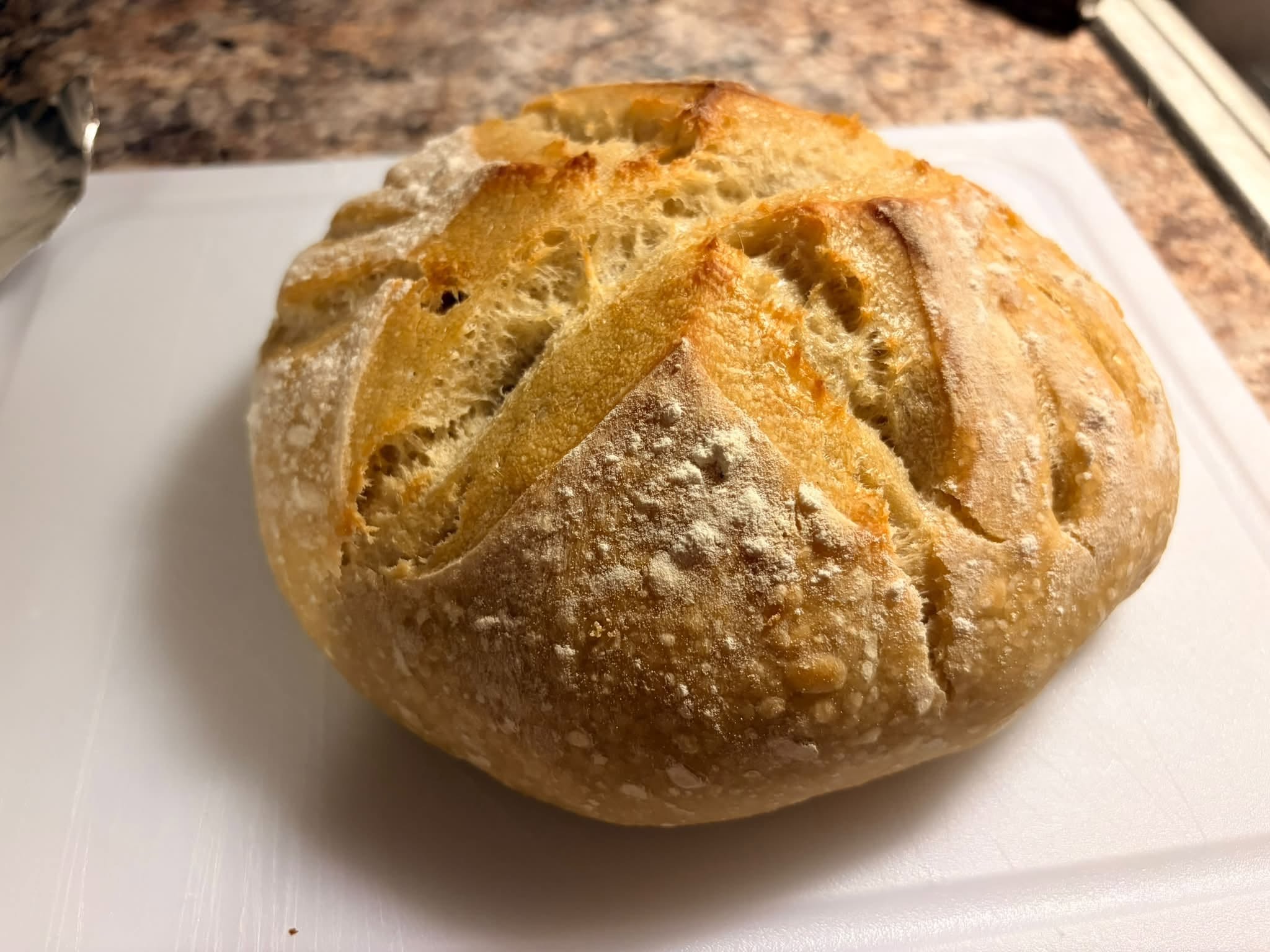 Photo of Classic Boule