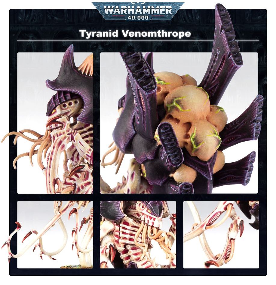 Venomthropes thumbnail 5