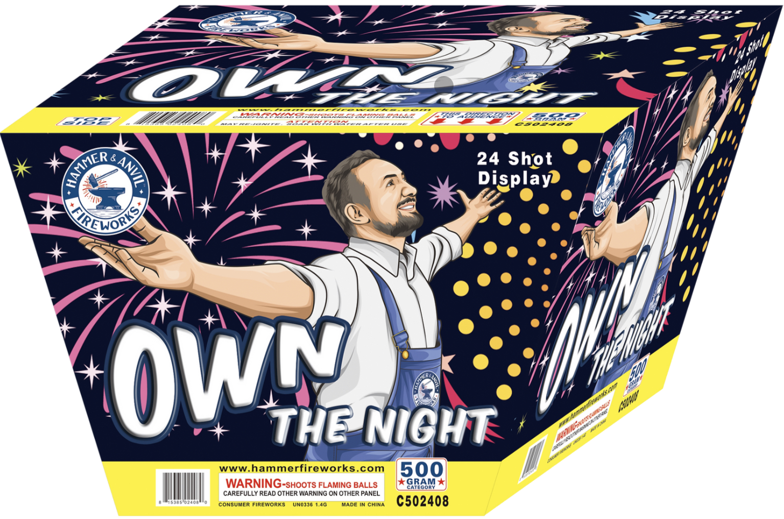 OWN THE NIGHT