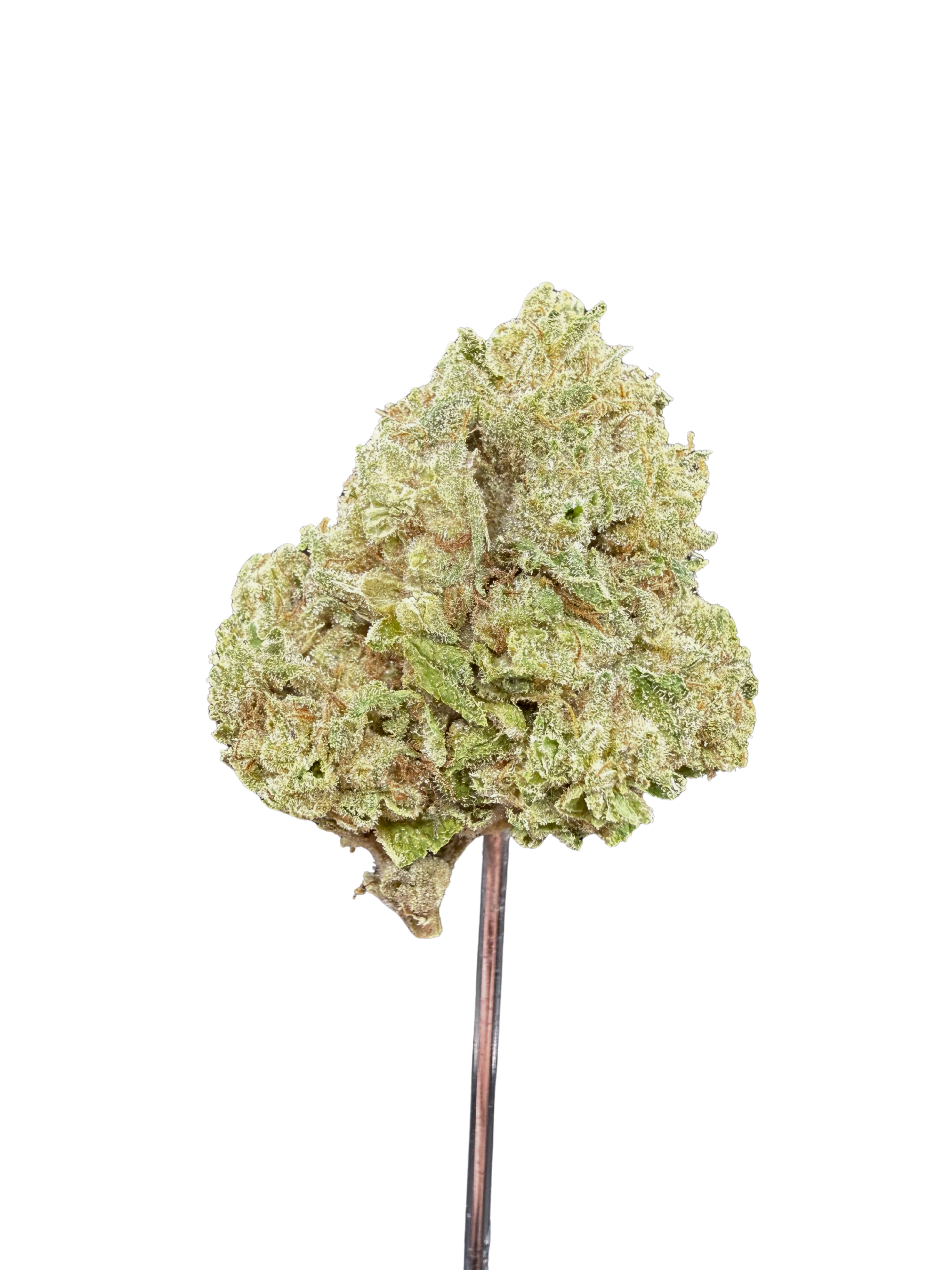 Jelly Cake THCA - Hybrid (Indica Dom.) - Bulk Flower