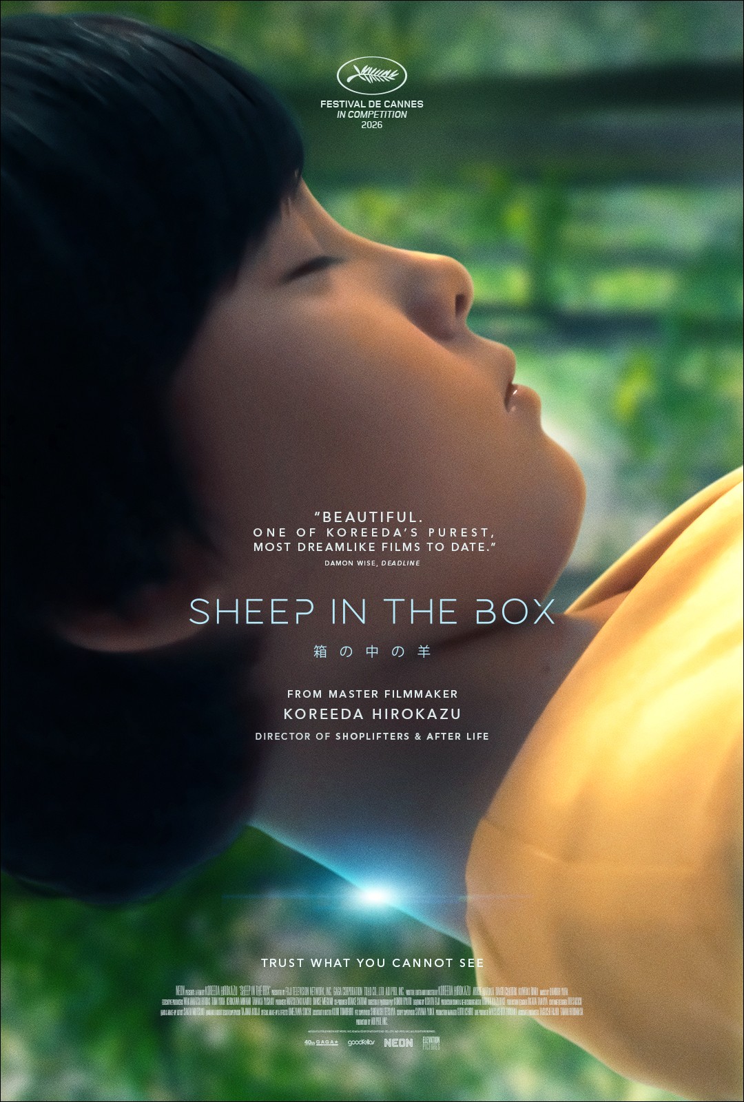 Sheep in the Box (2026)