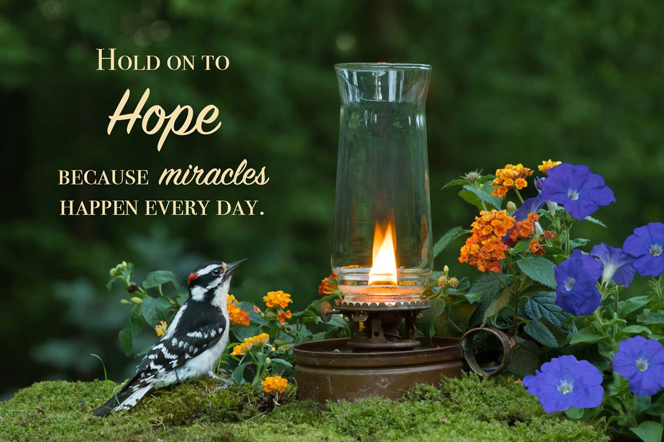 Hold on to Hope