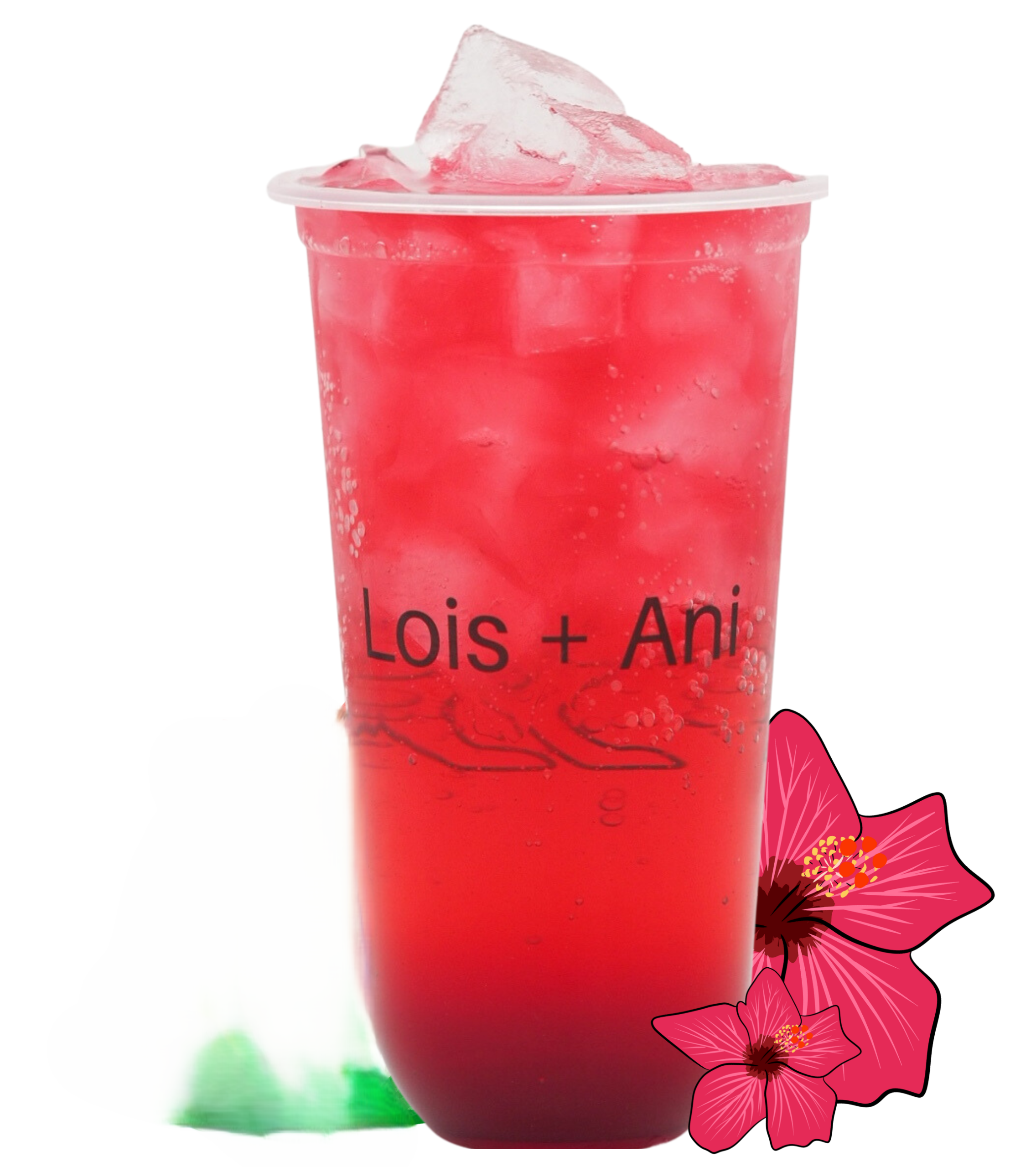 Organic Hibiscus Sparkling Tea