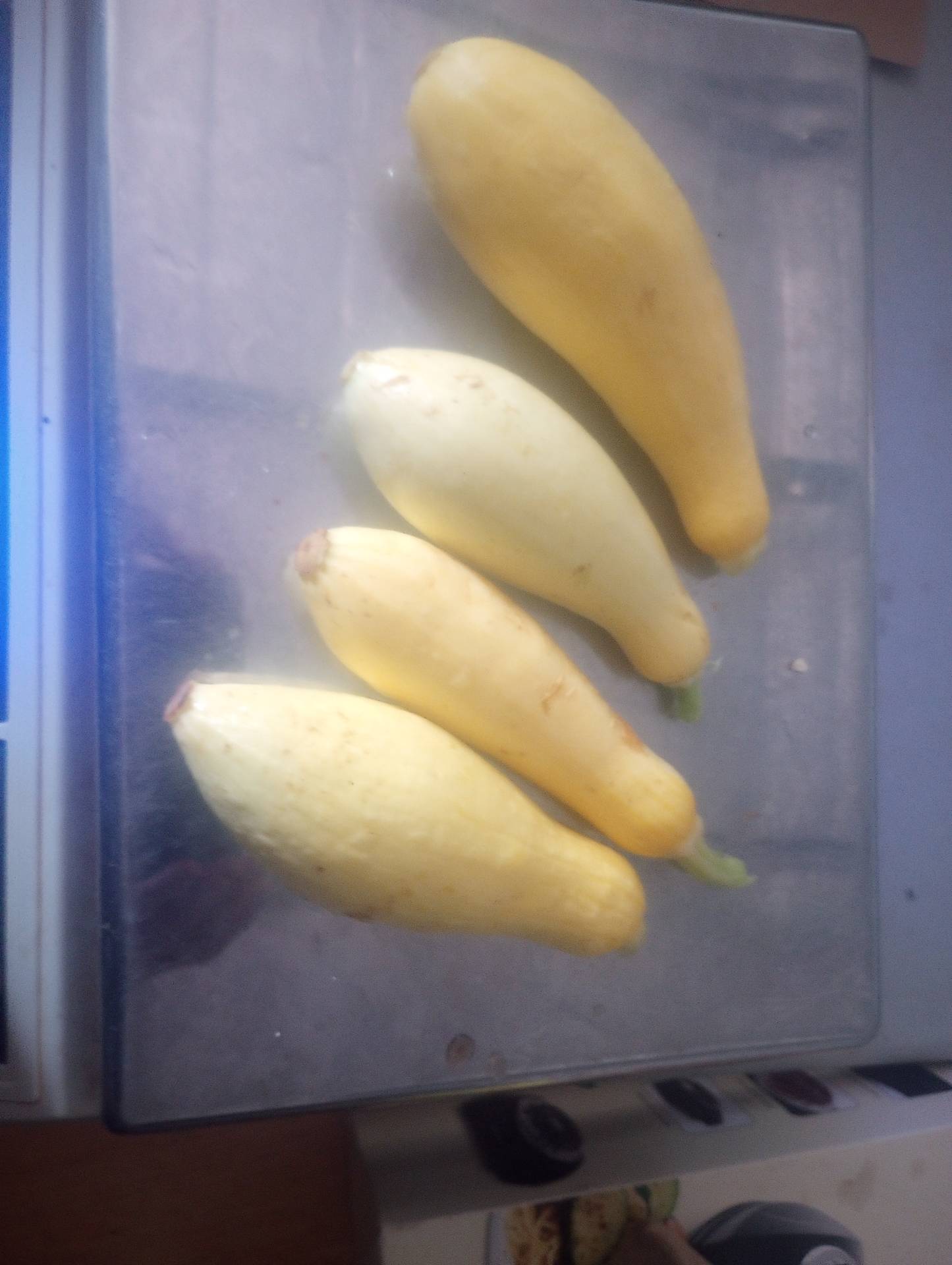 Summer squash
