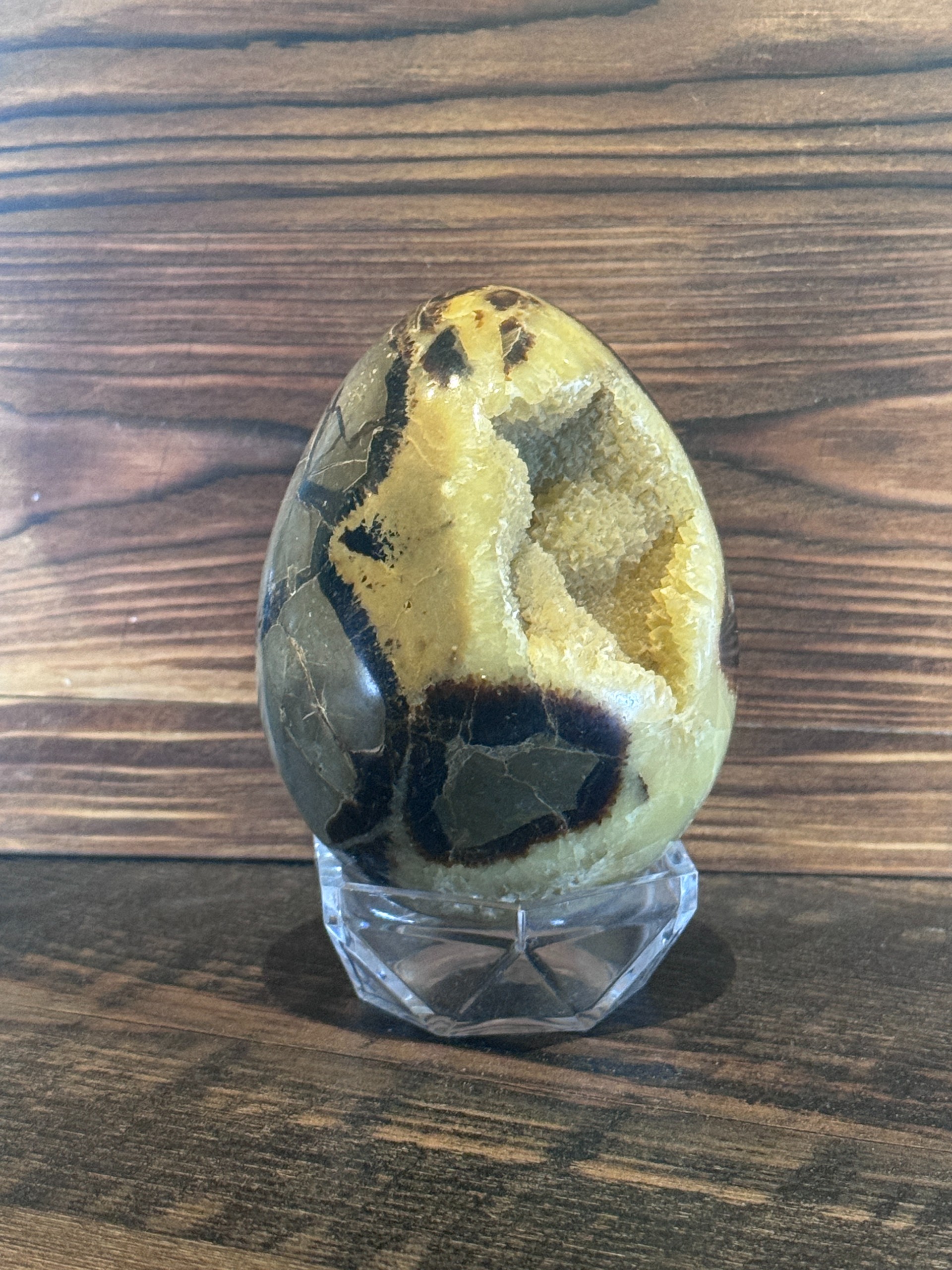 Septarian Freeform with Druzy Pocket
