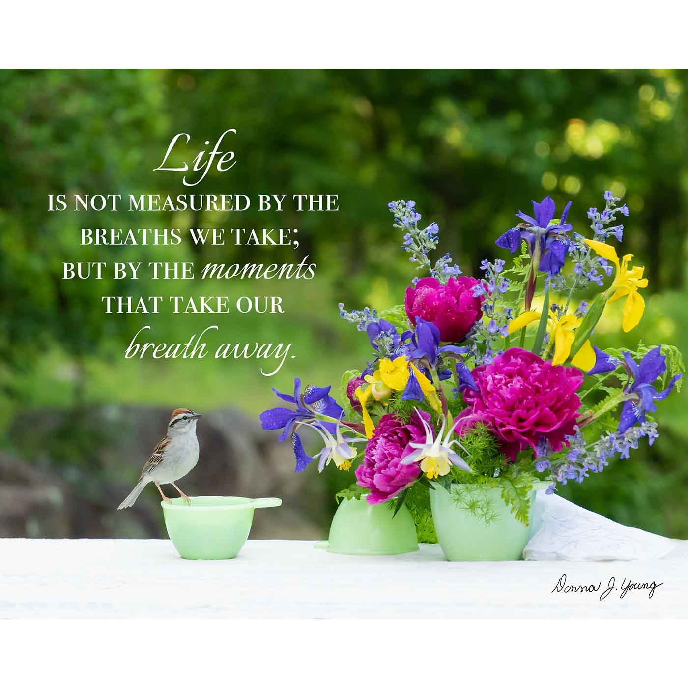 Life is Measured