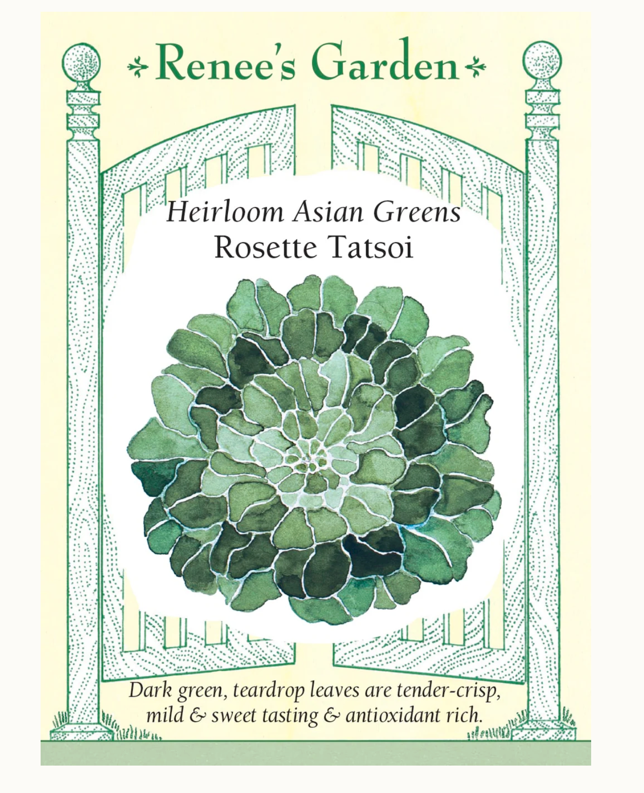 Renee's Garden | Heirloom Asian Greens Rosette Tatsoi