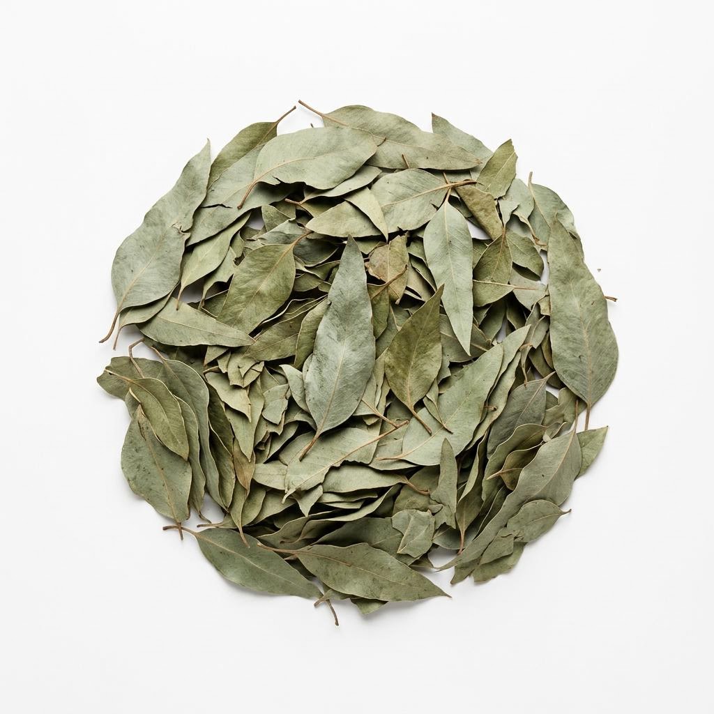 Eucalyptus Leaf