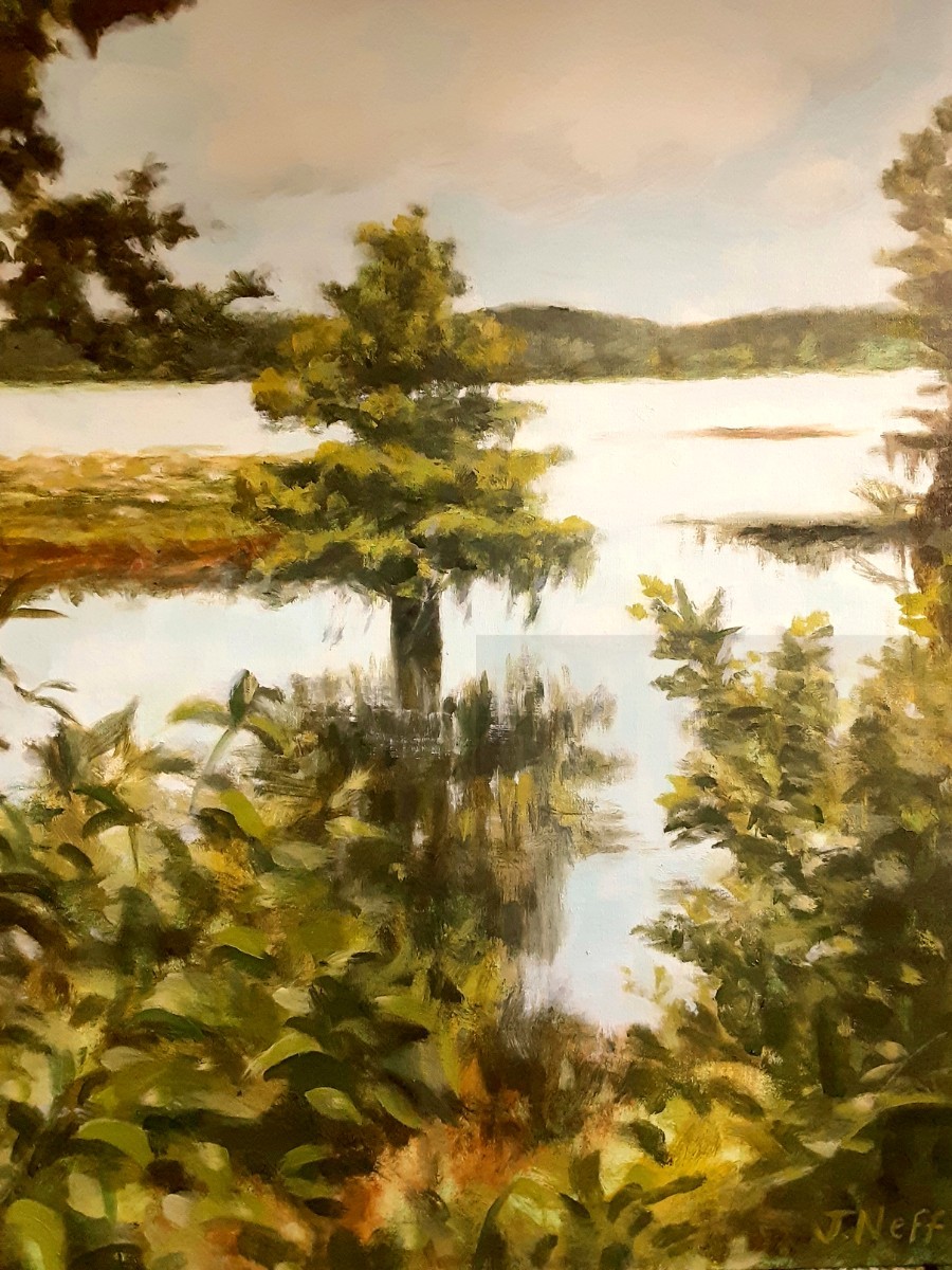Alligator Lake Cypress