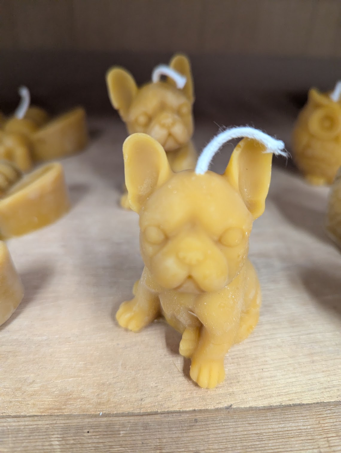 Anarchy Apiaries  |  Honey, Candles, Products - French Bulldog Candles 3oz