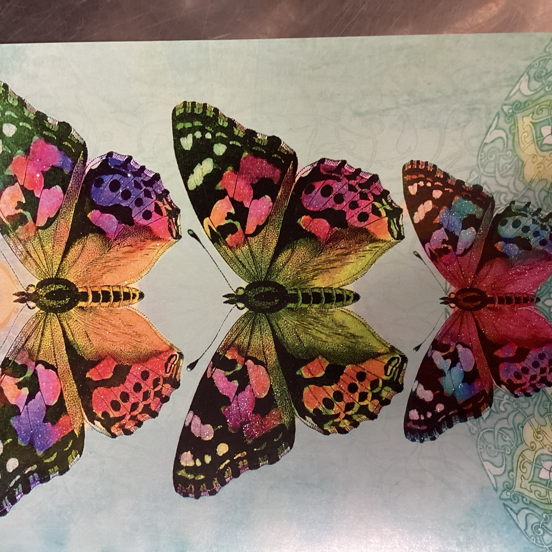 Butterfly Trio - Blank Inside