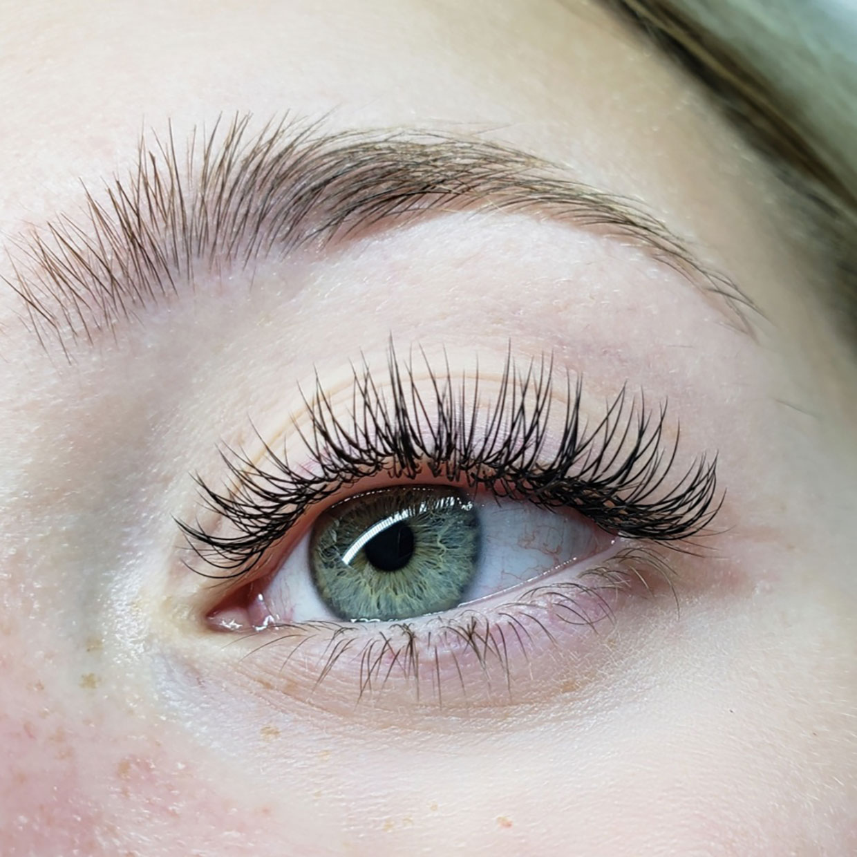 Lashes Fluff - CLASSIC