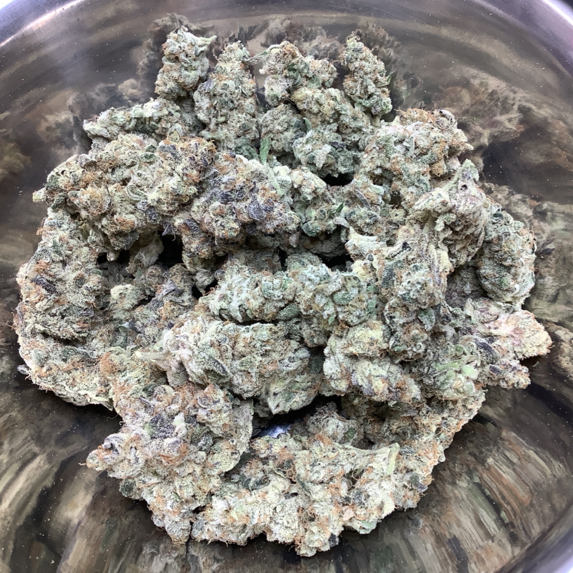 Blueberry 31.76% THCA - Regular