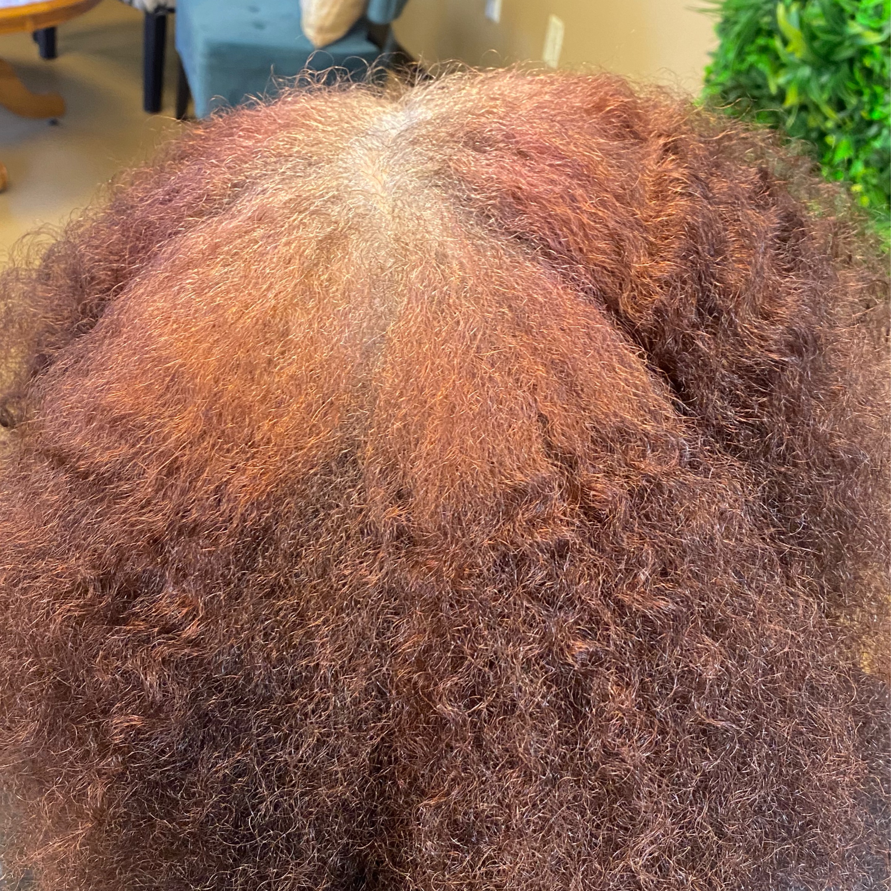 Hair Color & Shears inc Salon