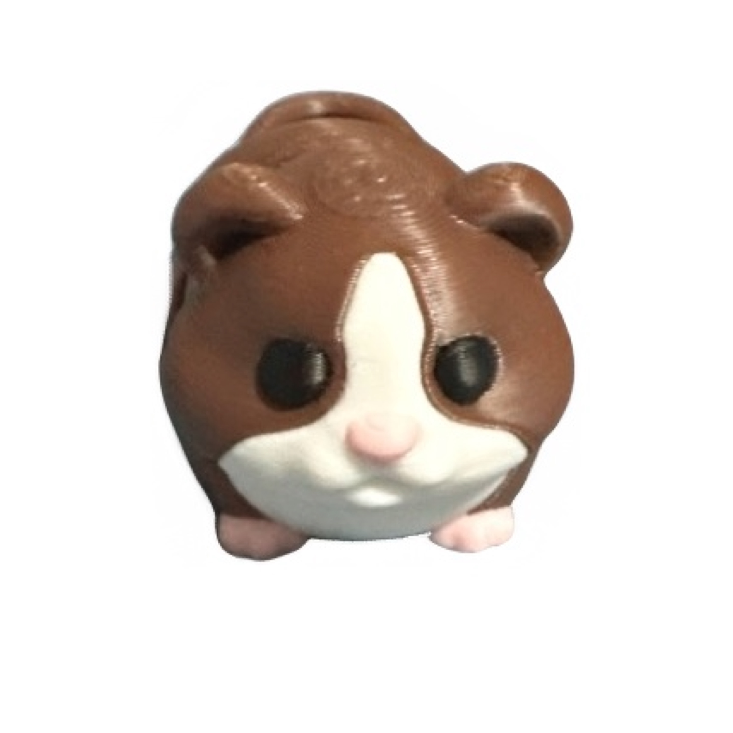 Hampster