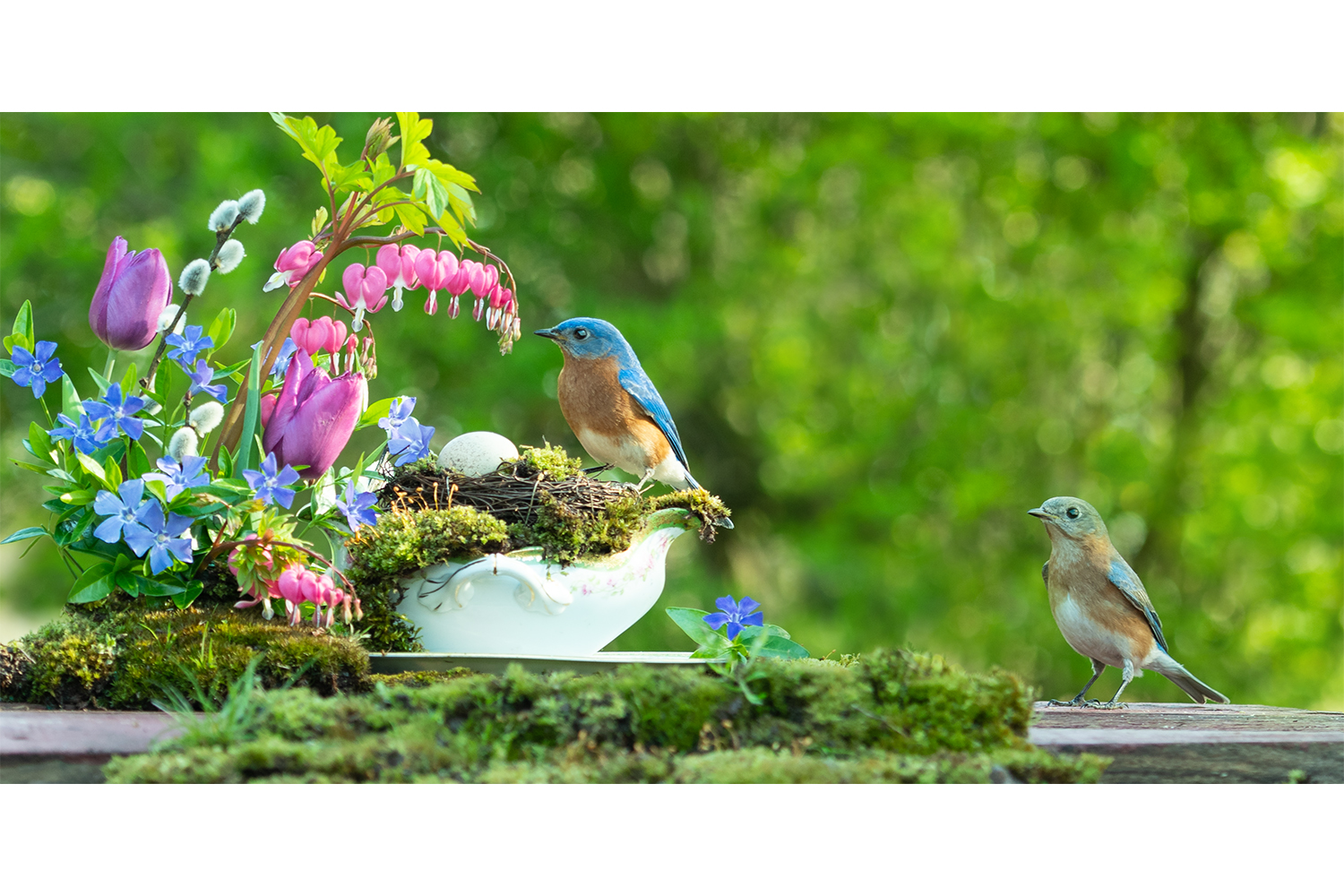 Springtime Love