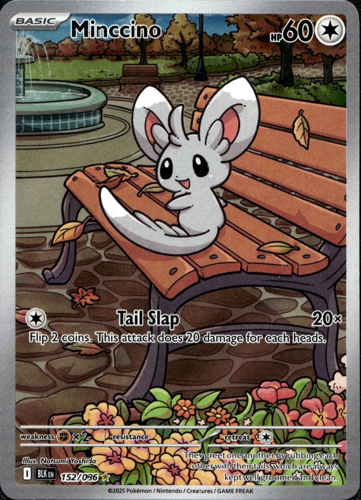Minccino - SV10.5B 152/86
