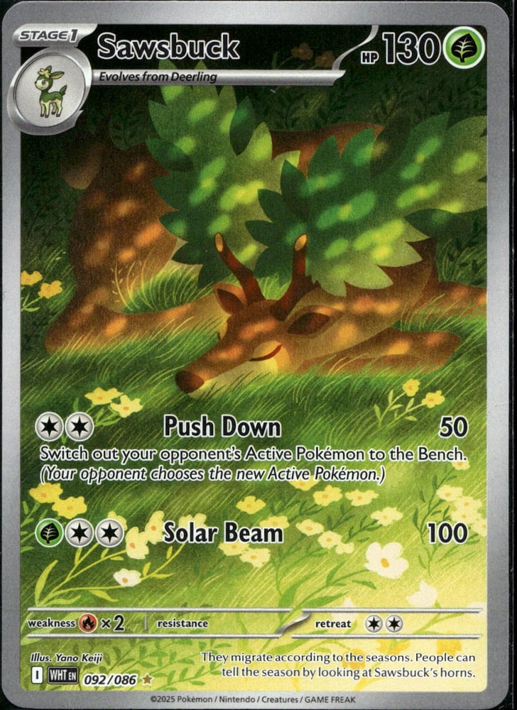 Sawsbuck - SV10.5W 92/86