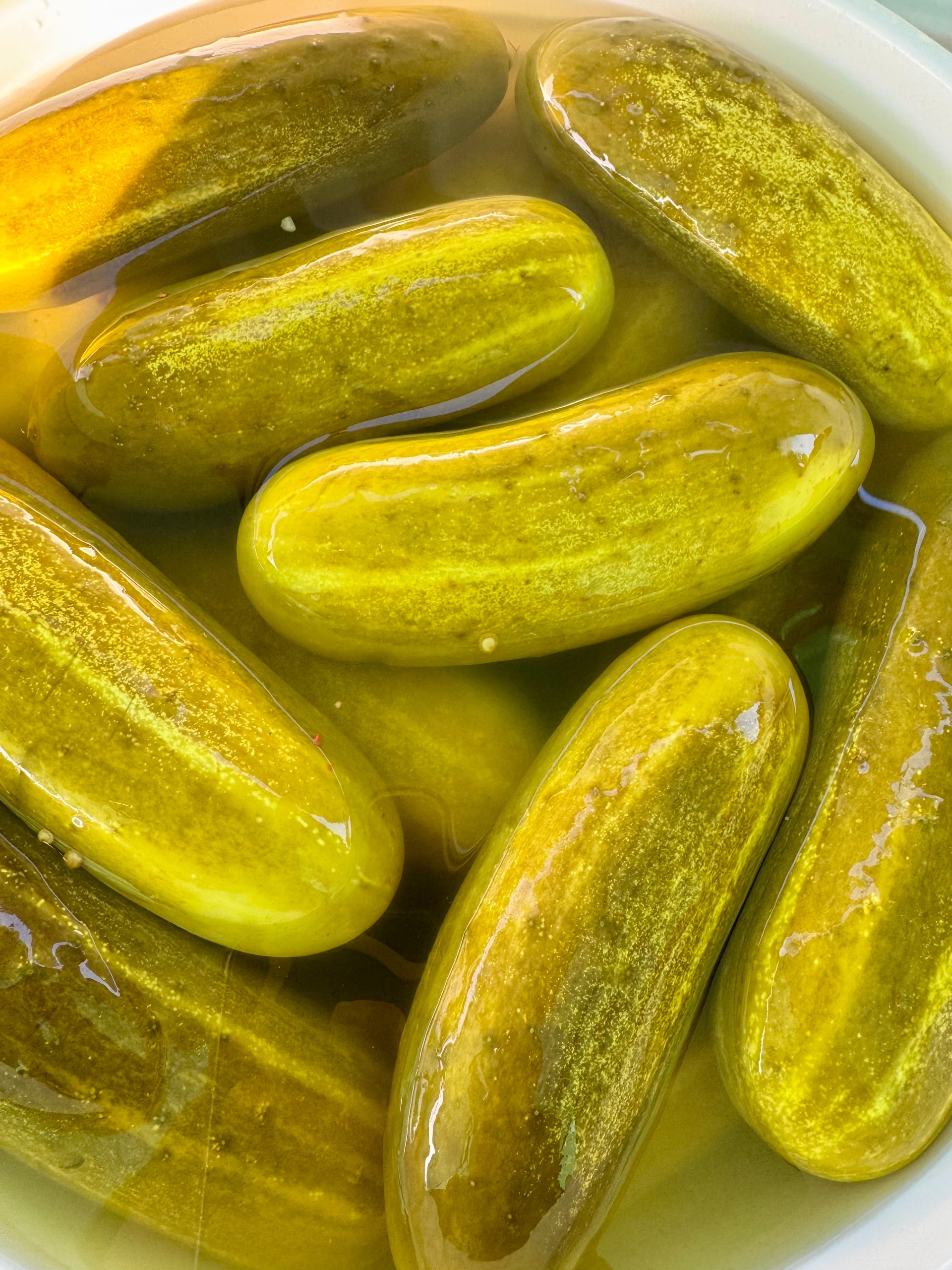 XL Big Dill