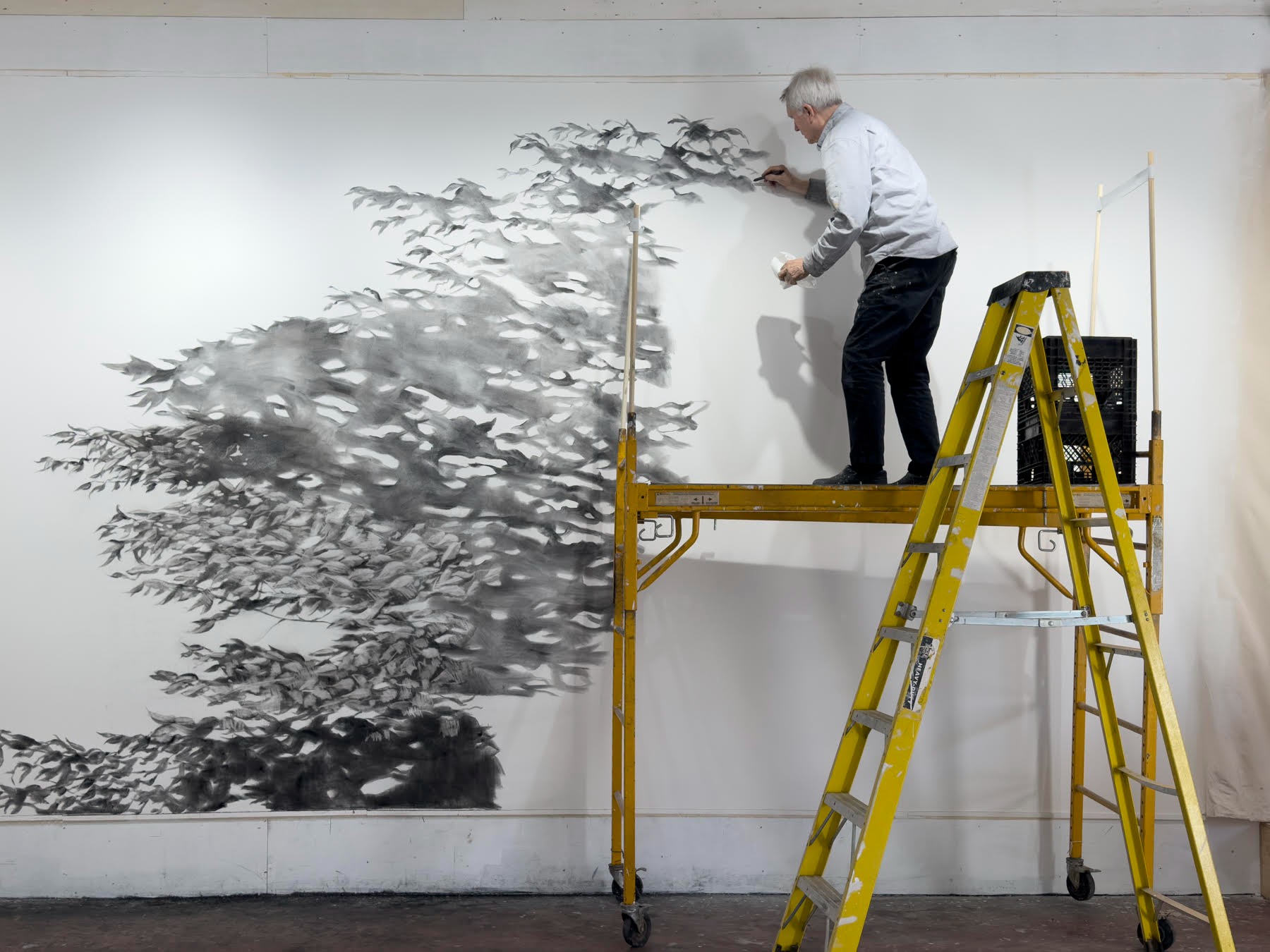 Drawing and Process with Stephen Hutchings