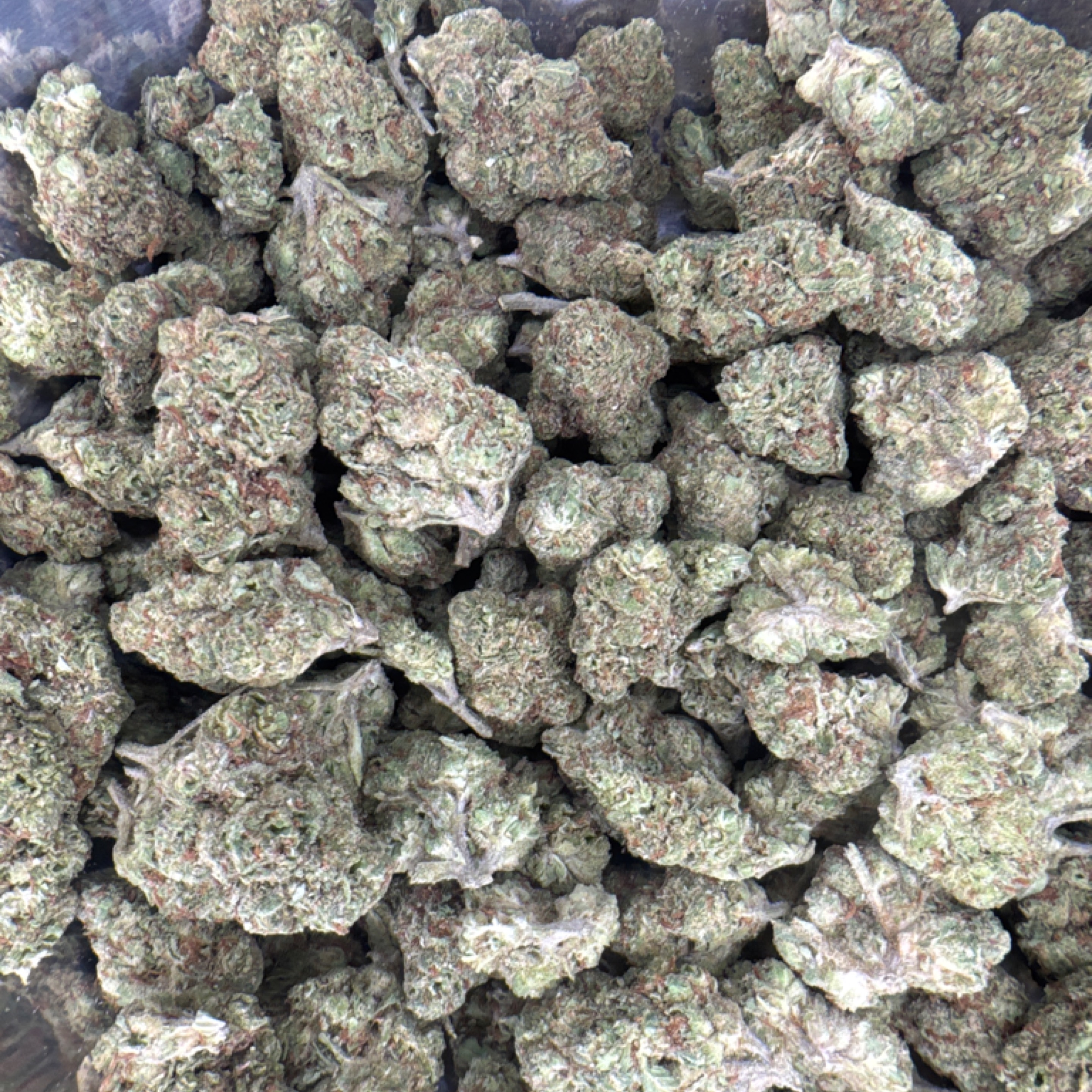 Strawberry Cough 19.13% THCA - Regular