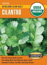 Heirloom Slow Bolt Cilantro Seed Pack, Organic