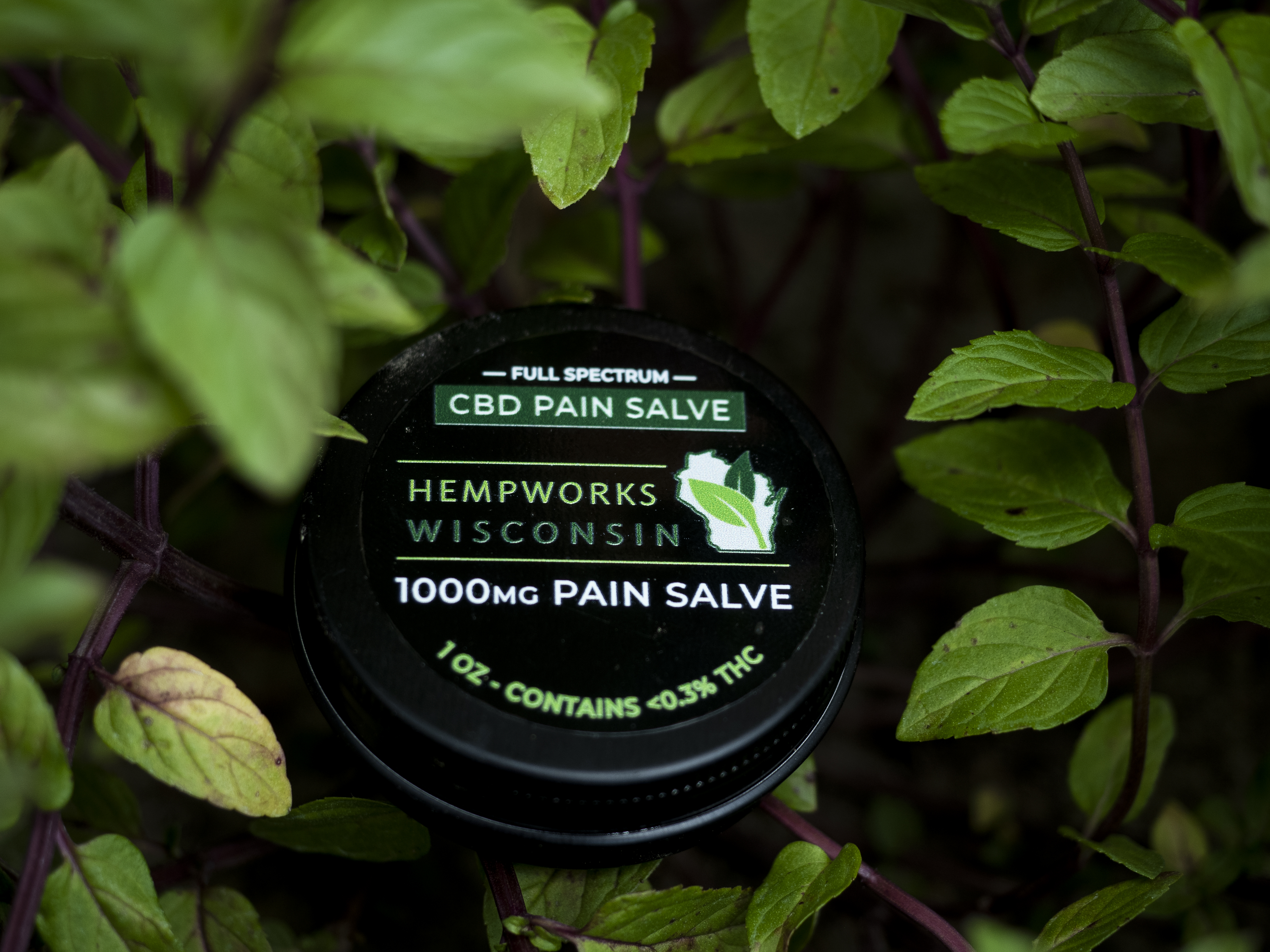 HempWorks Wisconsin Pain Salve (1,000mg-2,000mg) - 1oz, 1000mg