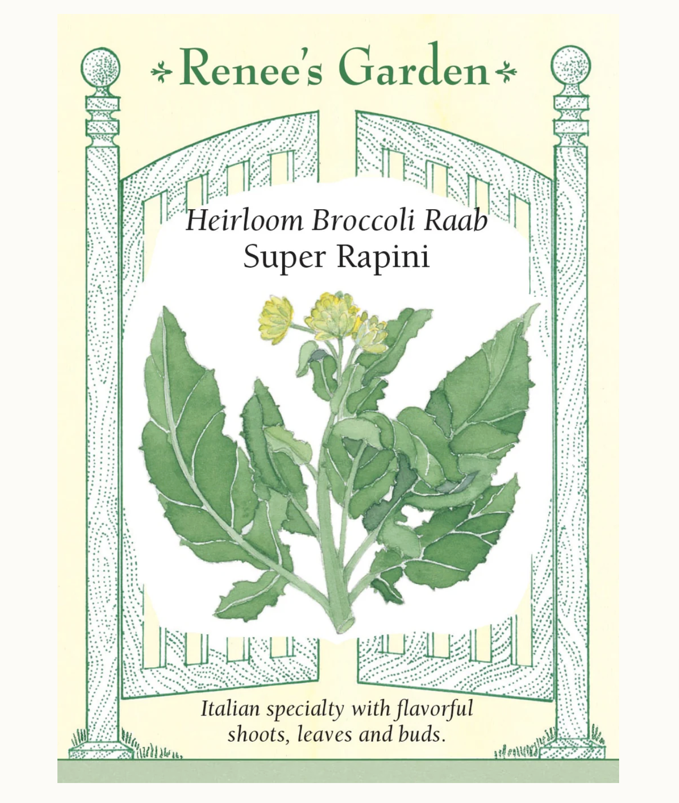 Renee's Garden | Heirloom Broccoli Raab Super Rapini