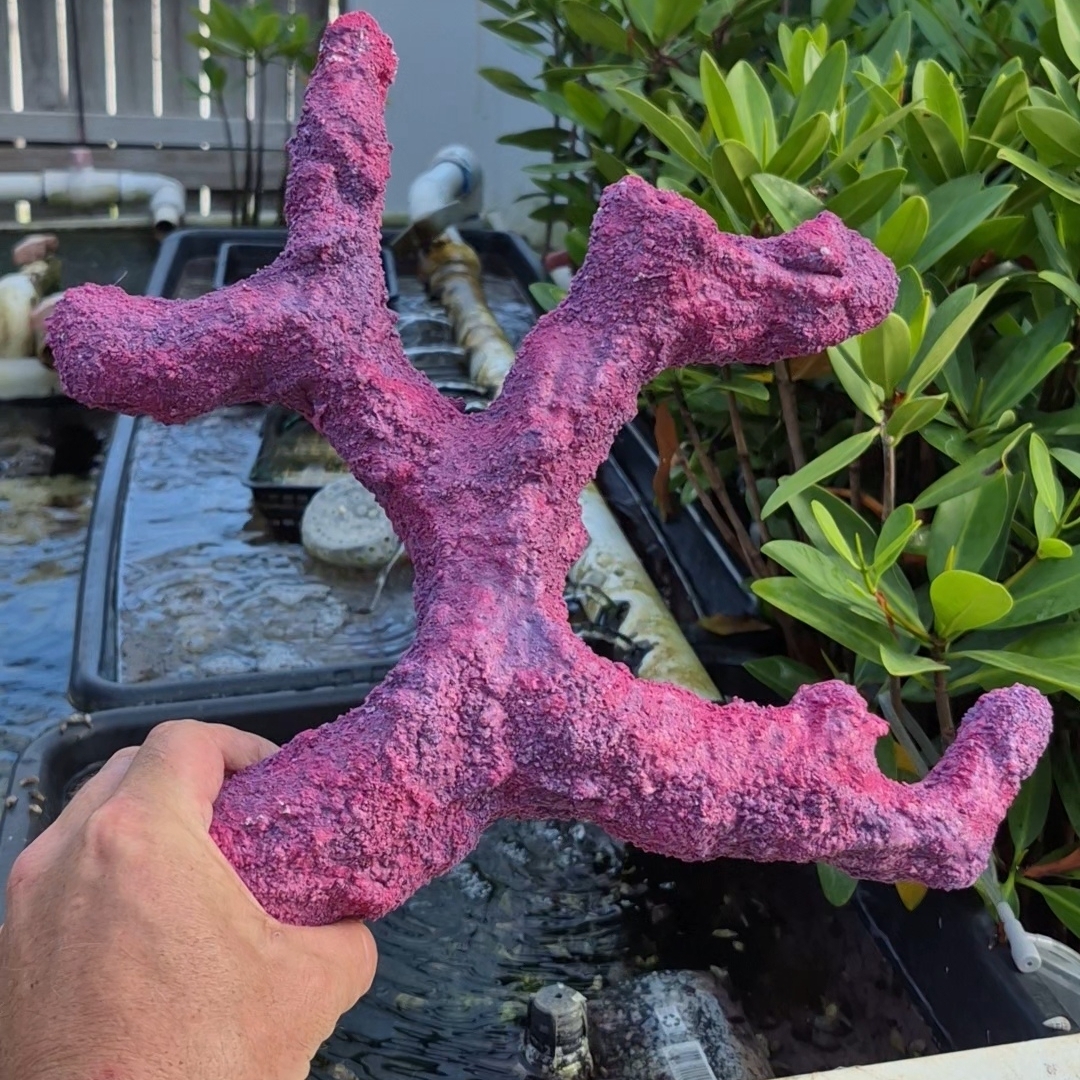 ARK Nature Saver Branch Rock – Handmade Reef-Safe Aquascaping Branch (Sold Individually)