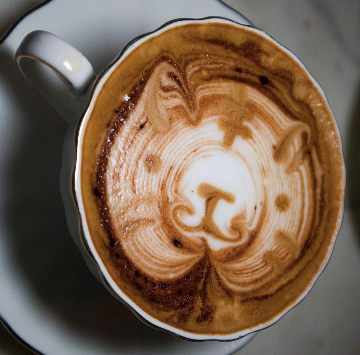 Mocha