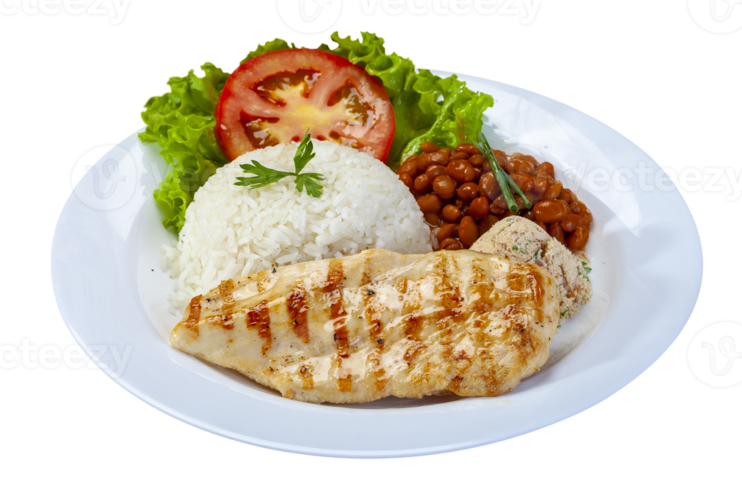 C8 Grilled chicken cutlet