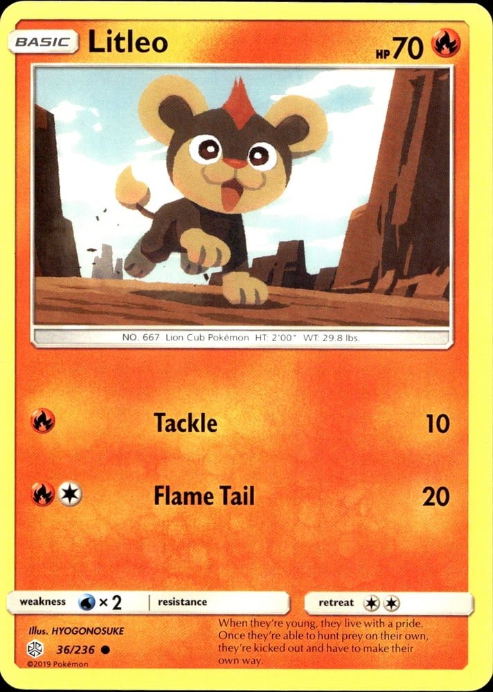 Litleo - SM12 36/236