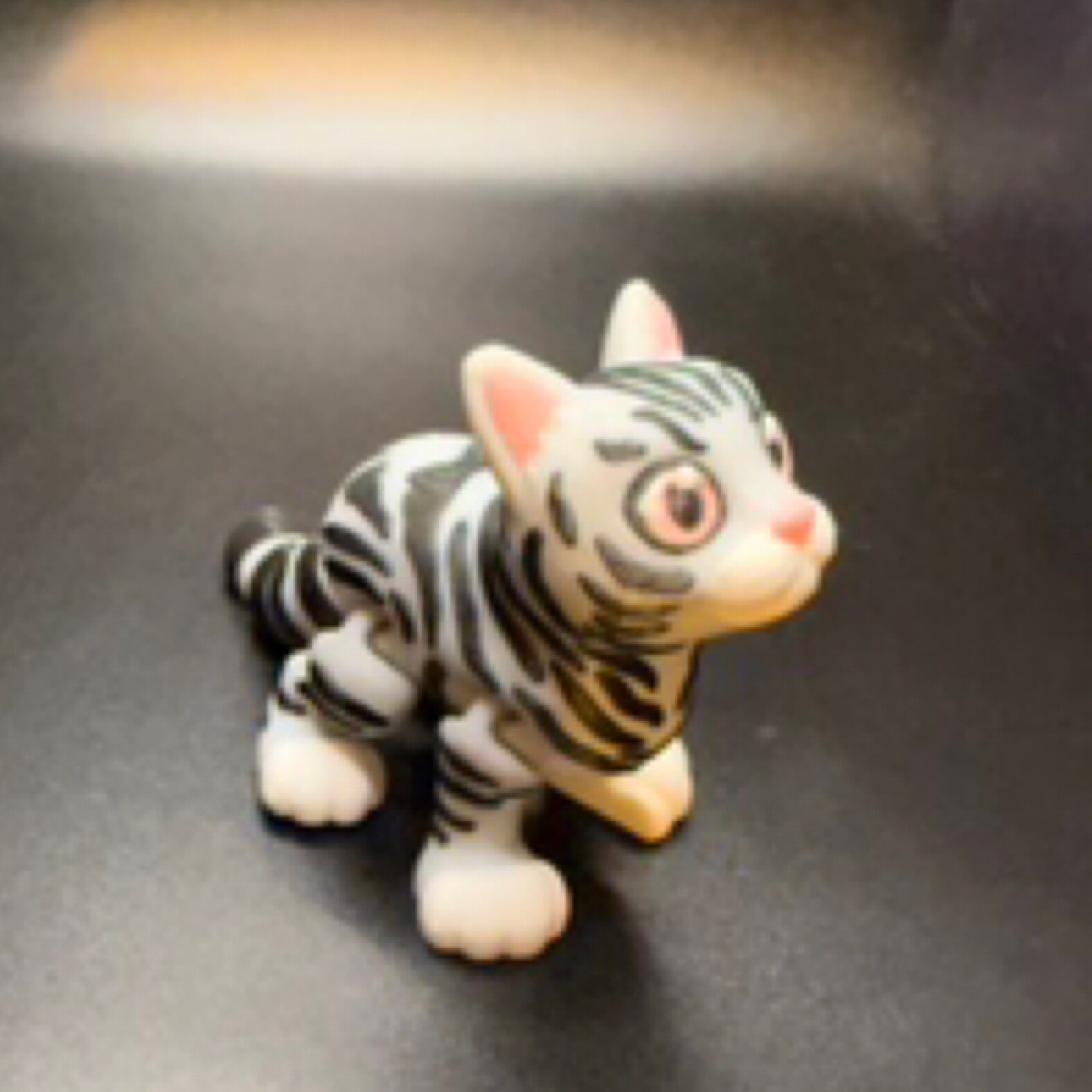 Gray Cat