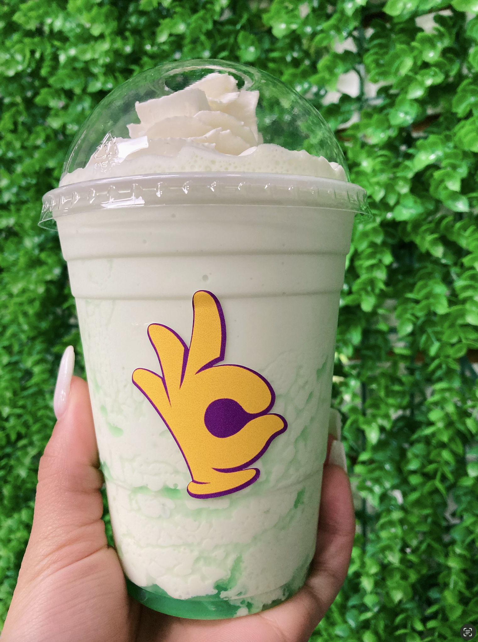 Mint Milkshake
