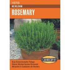 Heirloom Rosemary Seed Pack