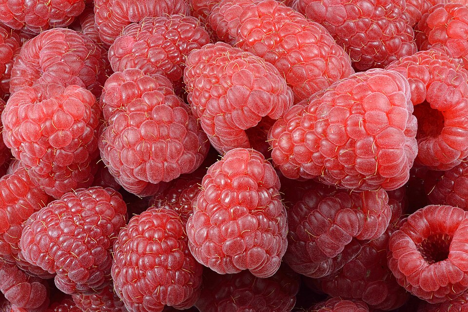 Rubus Raspberry ShortCake®