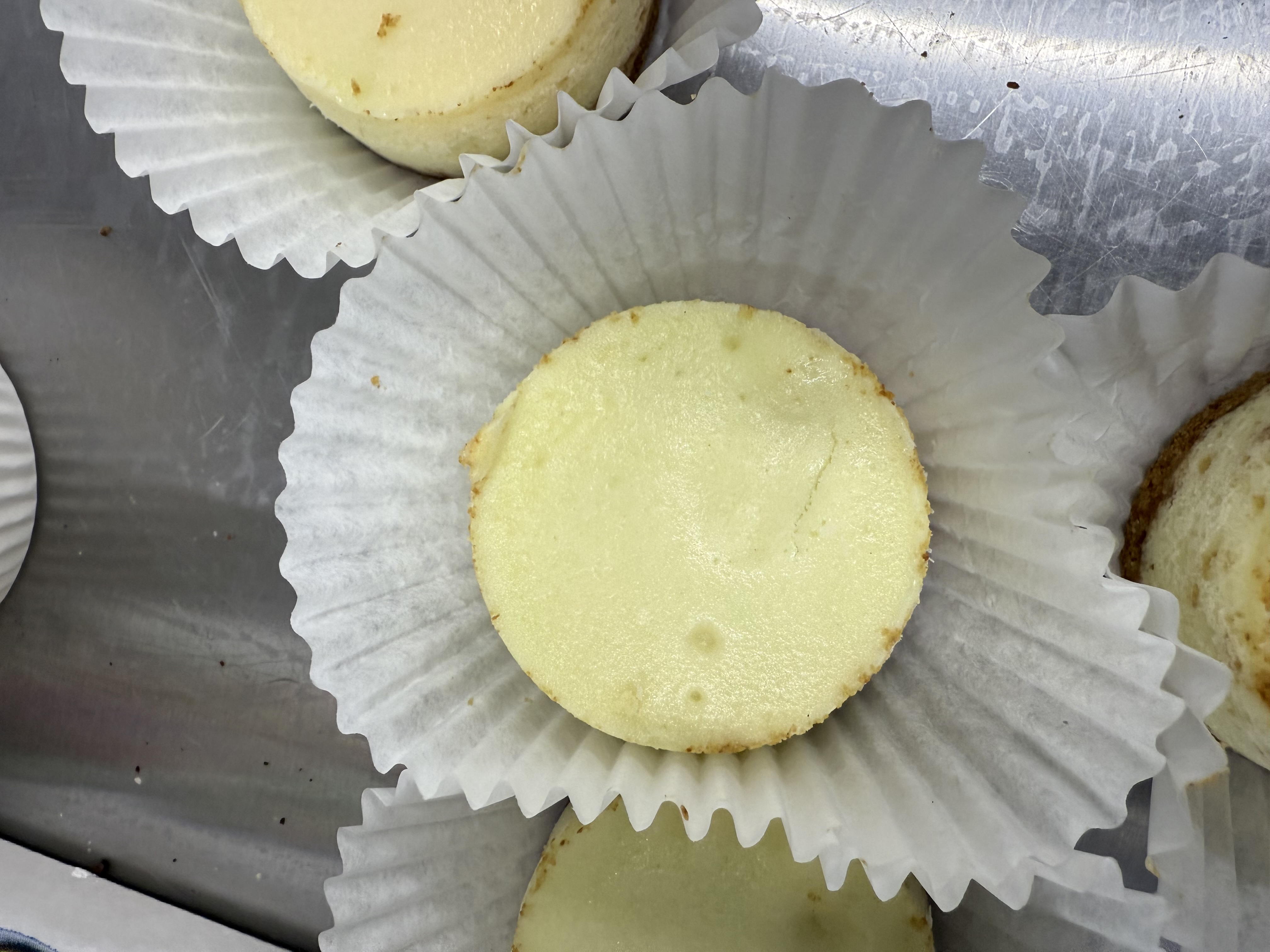 Cheesecake Cupcakes (6 Pack) 2 Day Lead Time