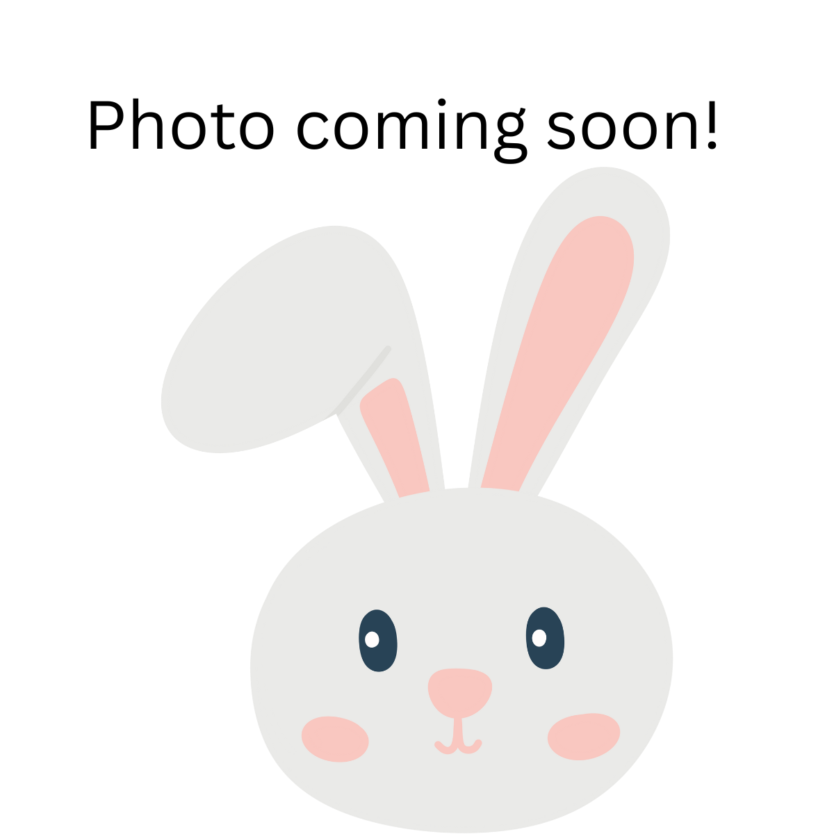 WHOLE Flourless Chocolate Cake