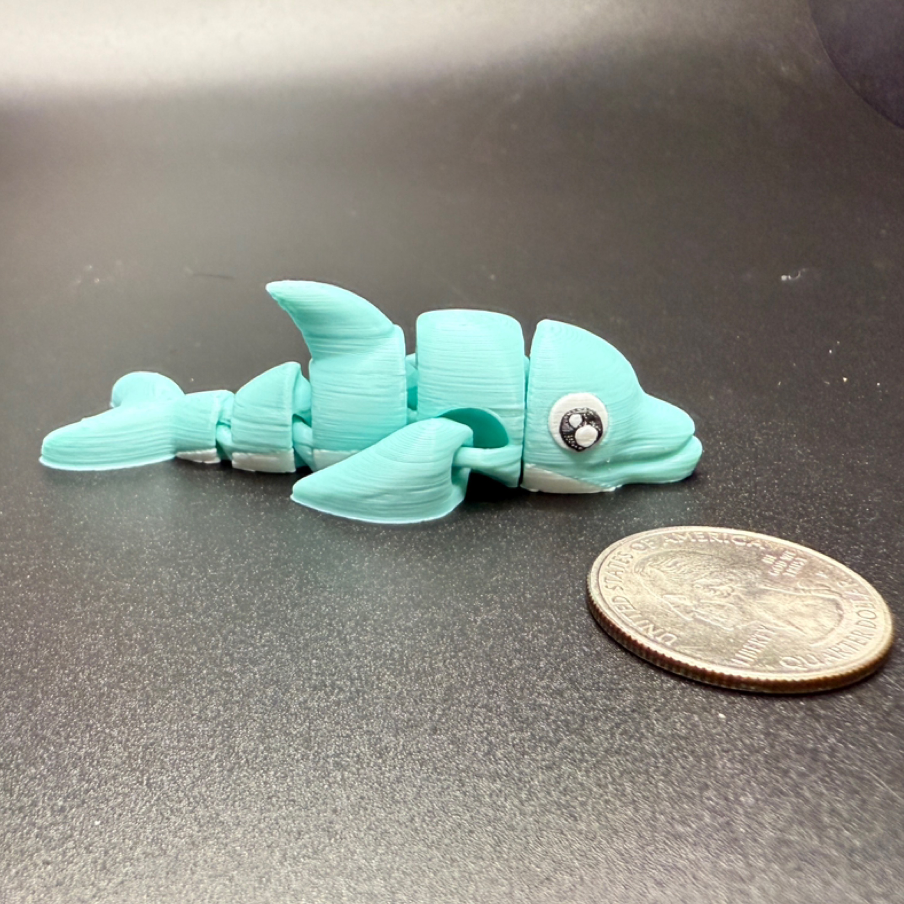 Mini dolphin