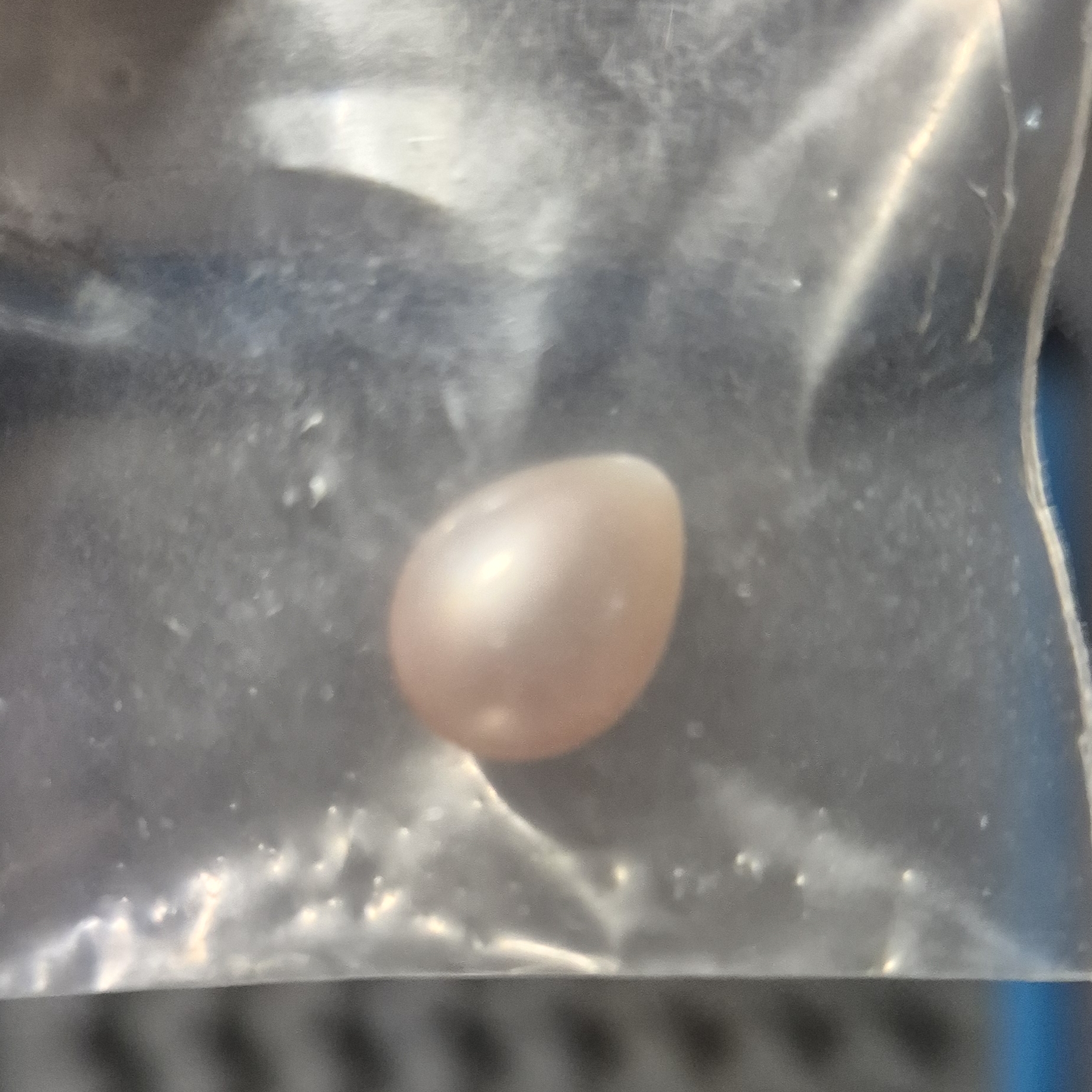 Pearl Egg Pendant Shape