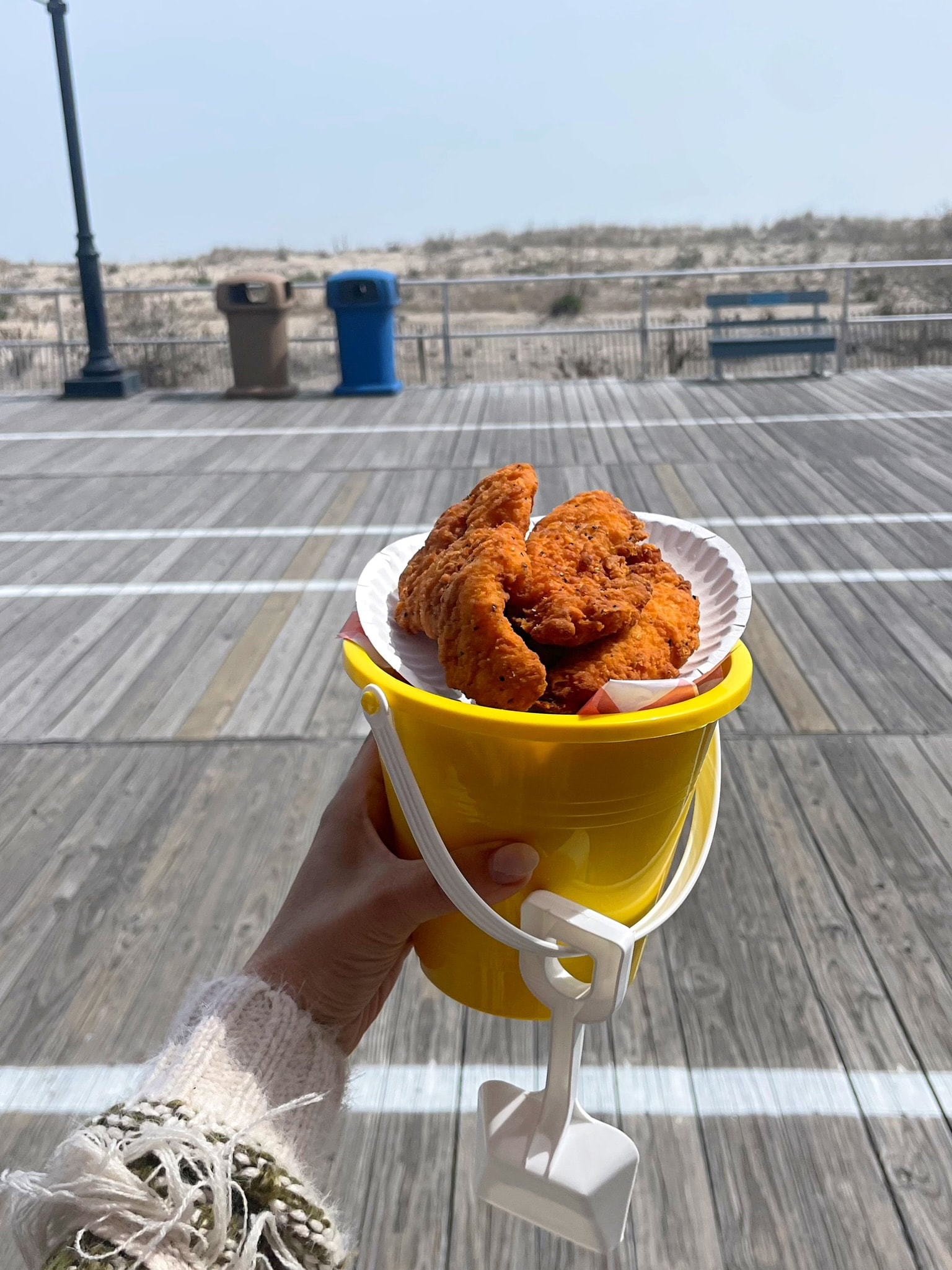 Kids Chicken Fingers