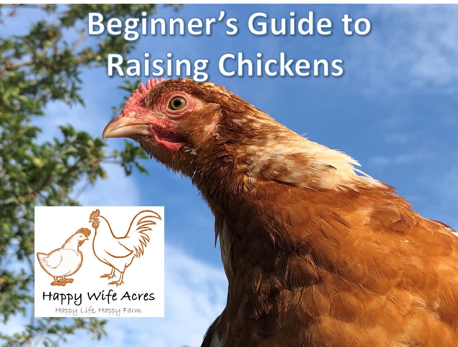 Beginners Guide to Raising Chickens Class (14 March 2026)