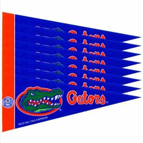 Florida Gators 8 Piece Mini Pennants Set