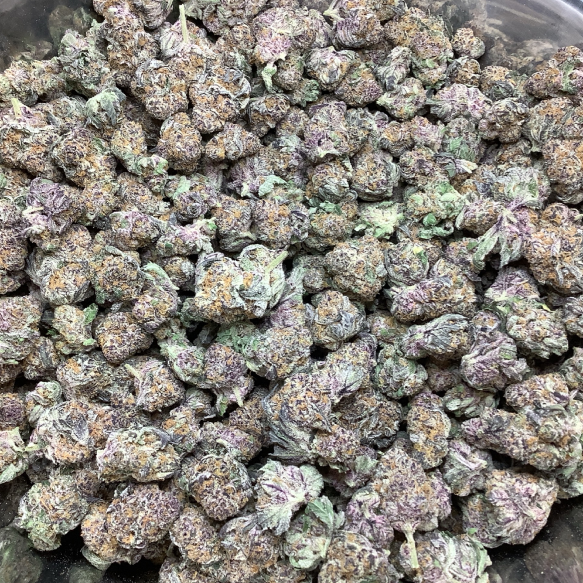 White Rhino 26.08% THCA - Regular