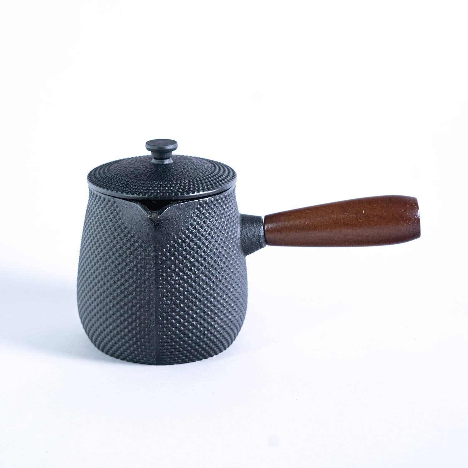 Kyusu Style Side Handle 18.5oz Cast Iron Tea Pot