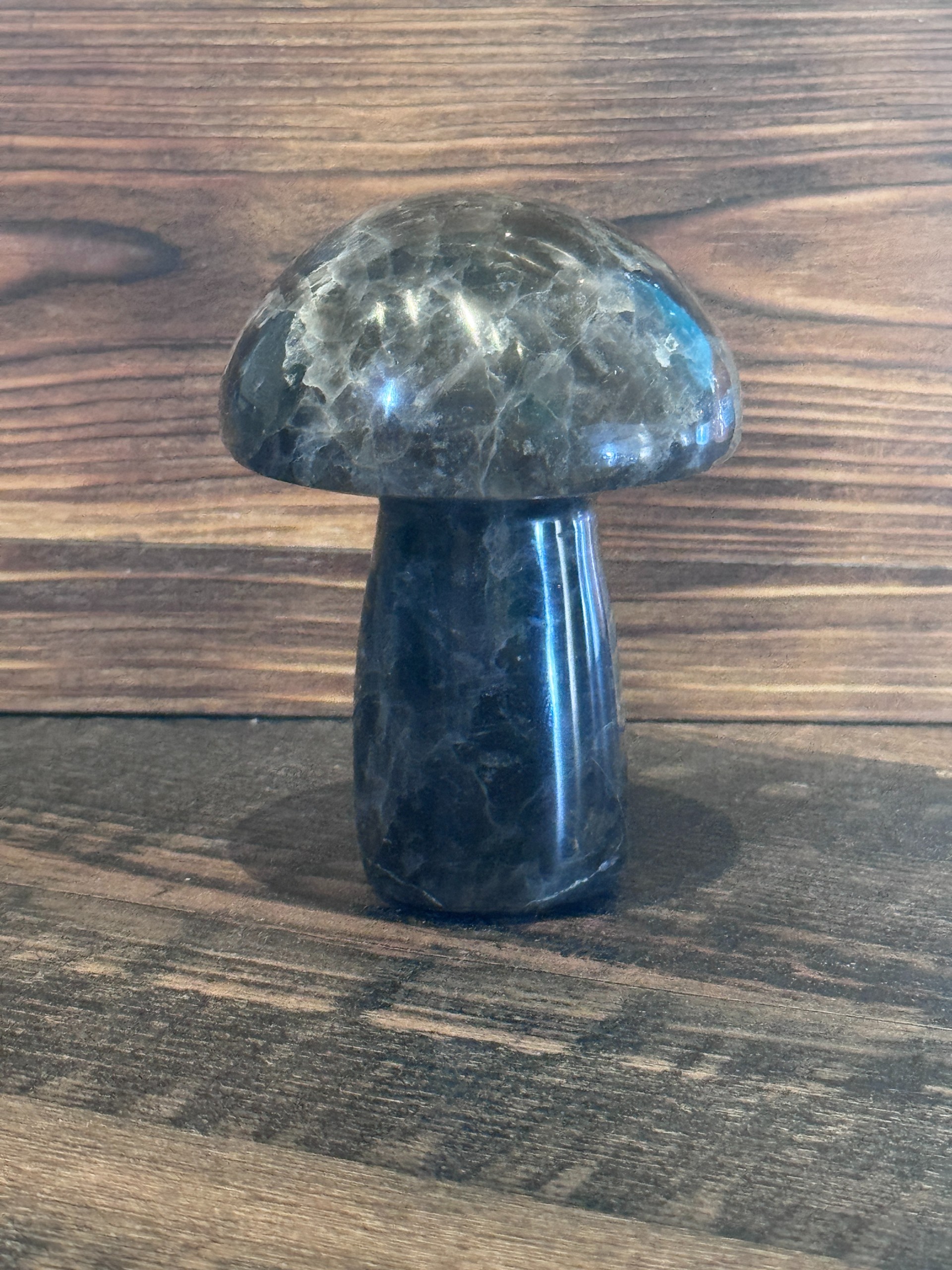 Smoky Quartz Mushroom Carving