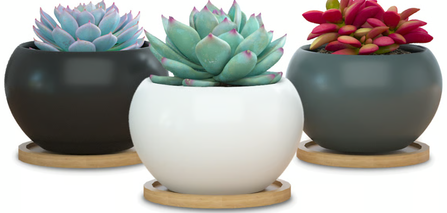 Mini Bubble Pot w/ Saucer, 3.5"