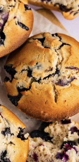 Gluten Friendly Gourmet Jumbo Muffin