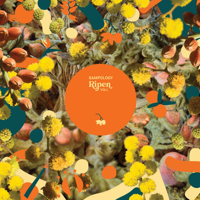 Sampology - Ripen Vol 1 by Unknown Artist - View 1